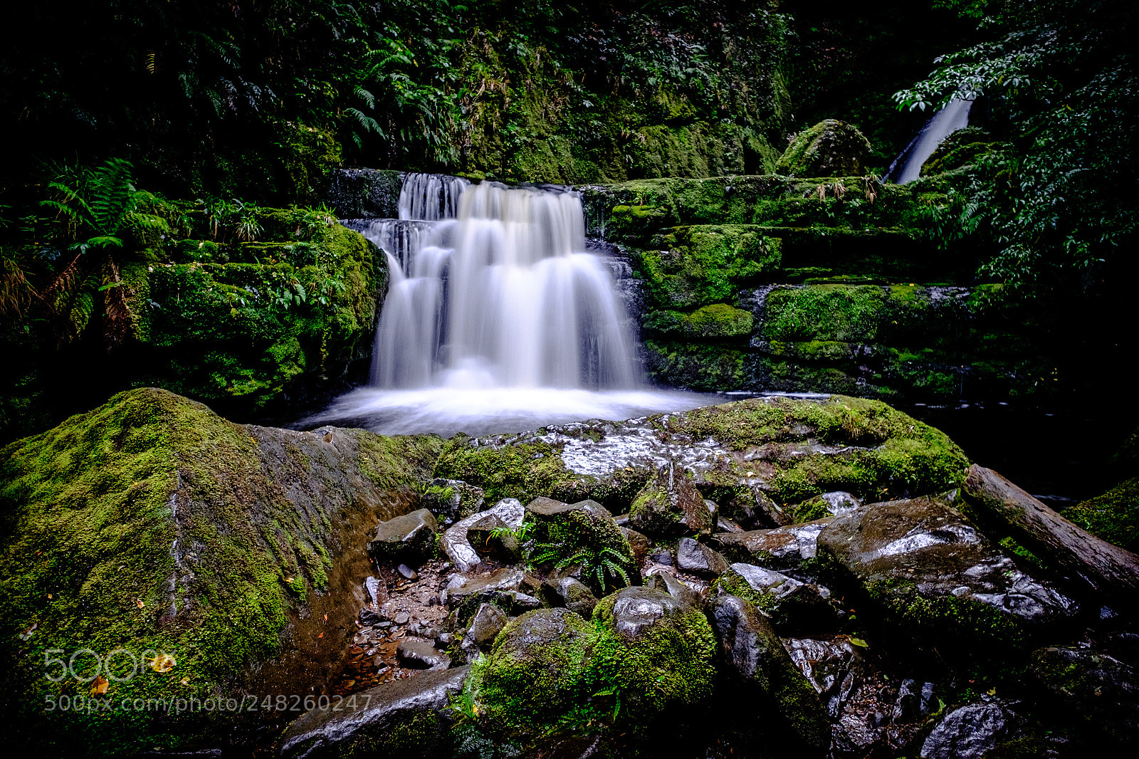 Fujifilm X-T1 sample photo. Mclean falls photography