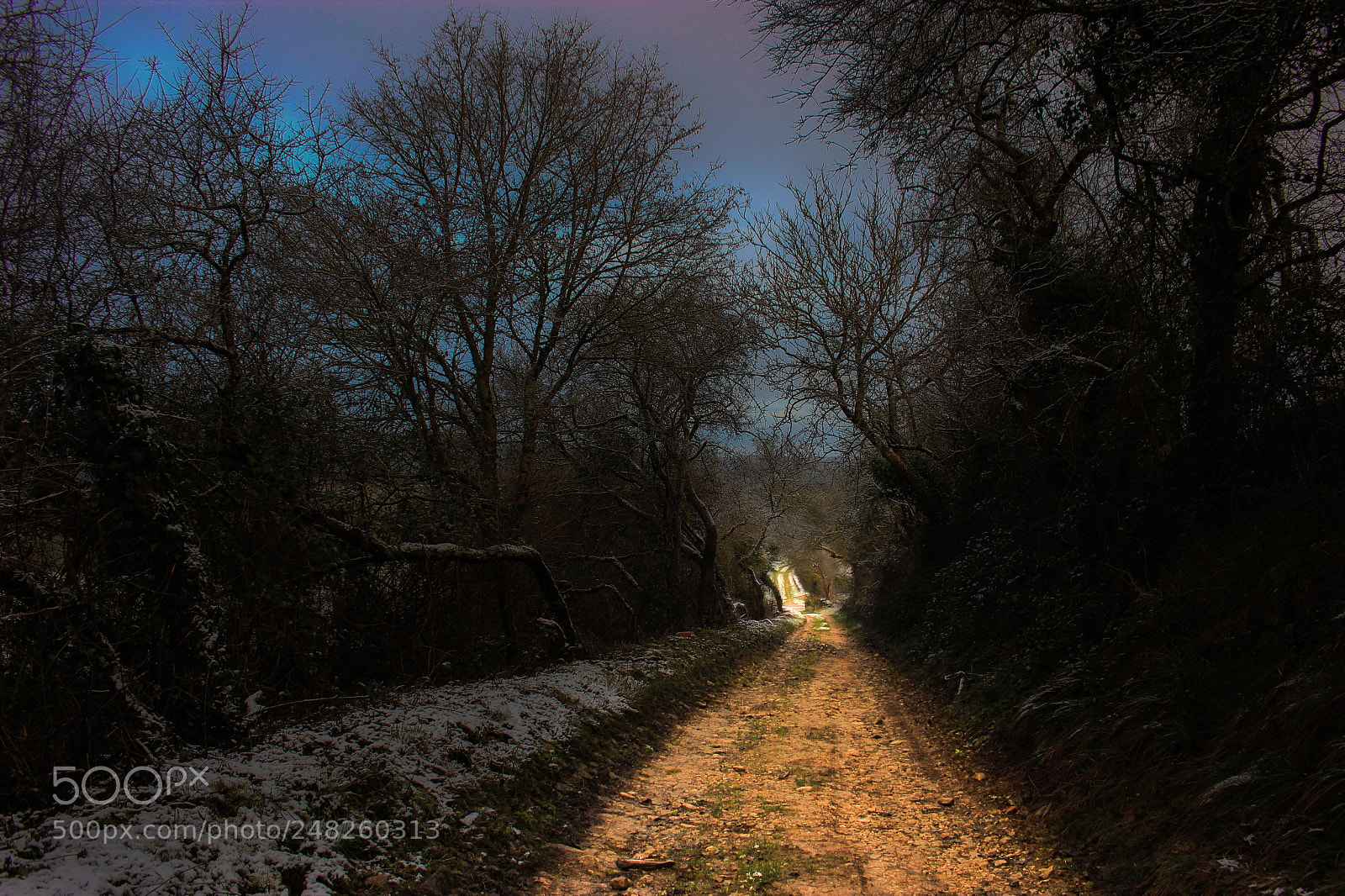 Canon EOS 550D (EOS Rebel T2i / EOS Kiss X4) sample photo. Path to monastery of photography