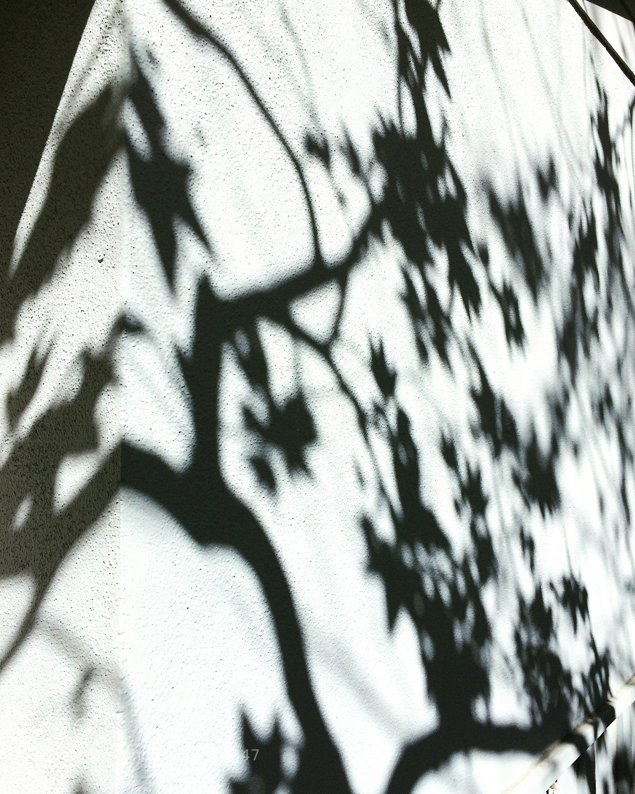 Apple iPhone 5s sample photo. Day 63 of an photography