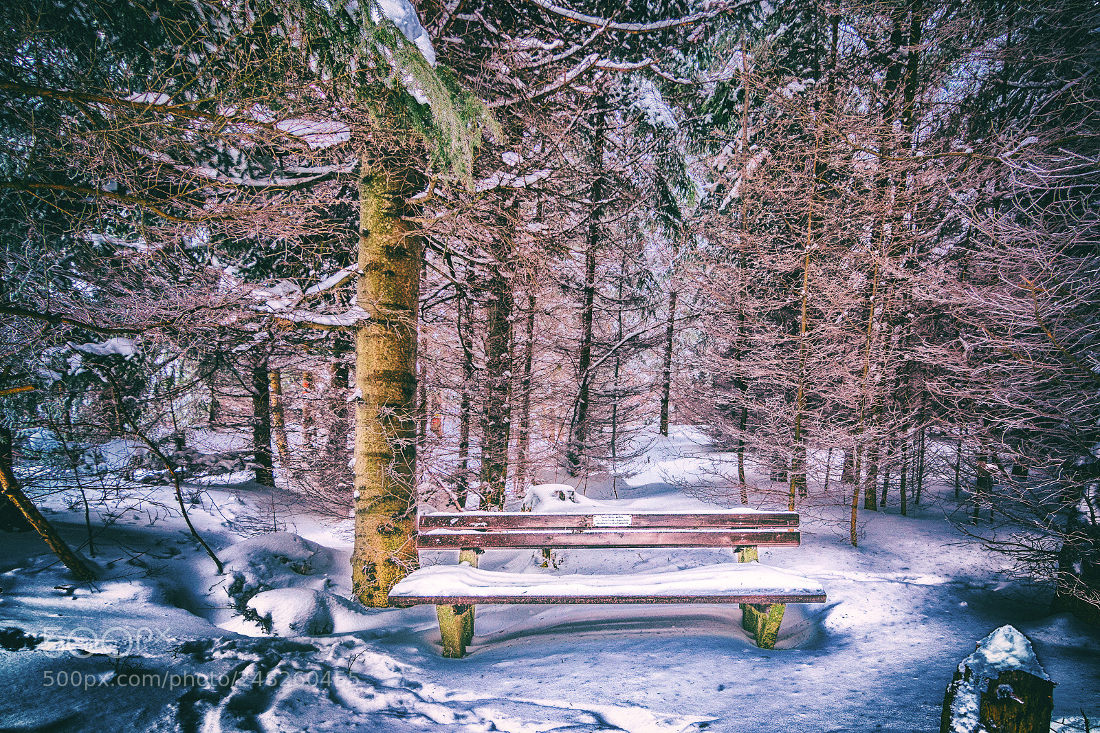 Canon EOS 80D sample photo. Wandern im schnee photography