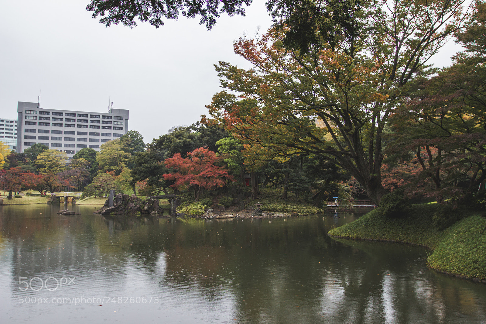 Canon EOS 600D (Rebel EOS T3i / EOS Kiss X5) sample photo. Un temps d'automne photography
