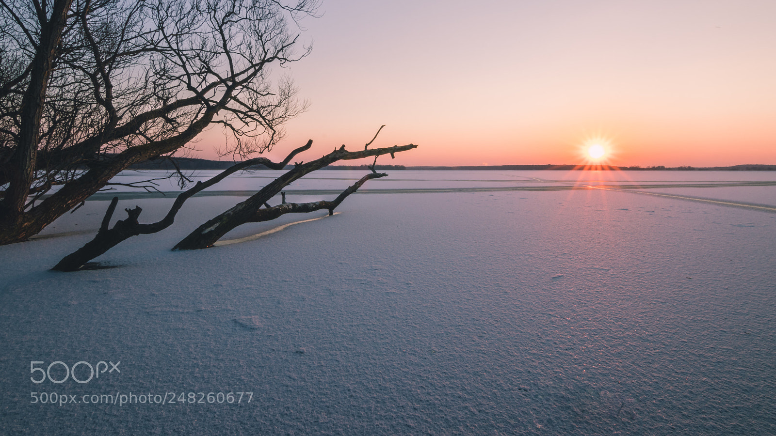 Canon EOS 77D (EOS 9000D / EOS 770D) sample photo. Warm sunset on a photography