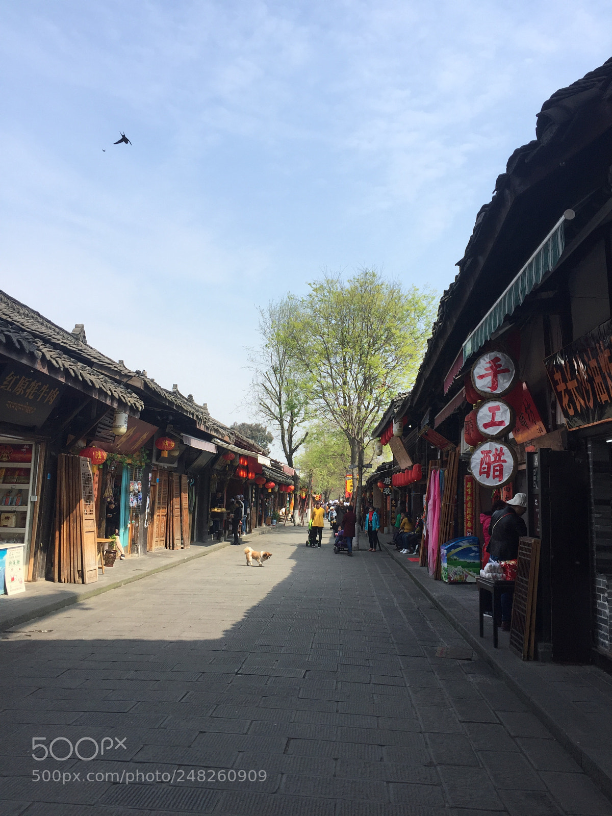 Apple iPhone 6 sample photo. 阆中古城 photography