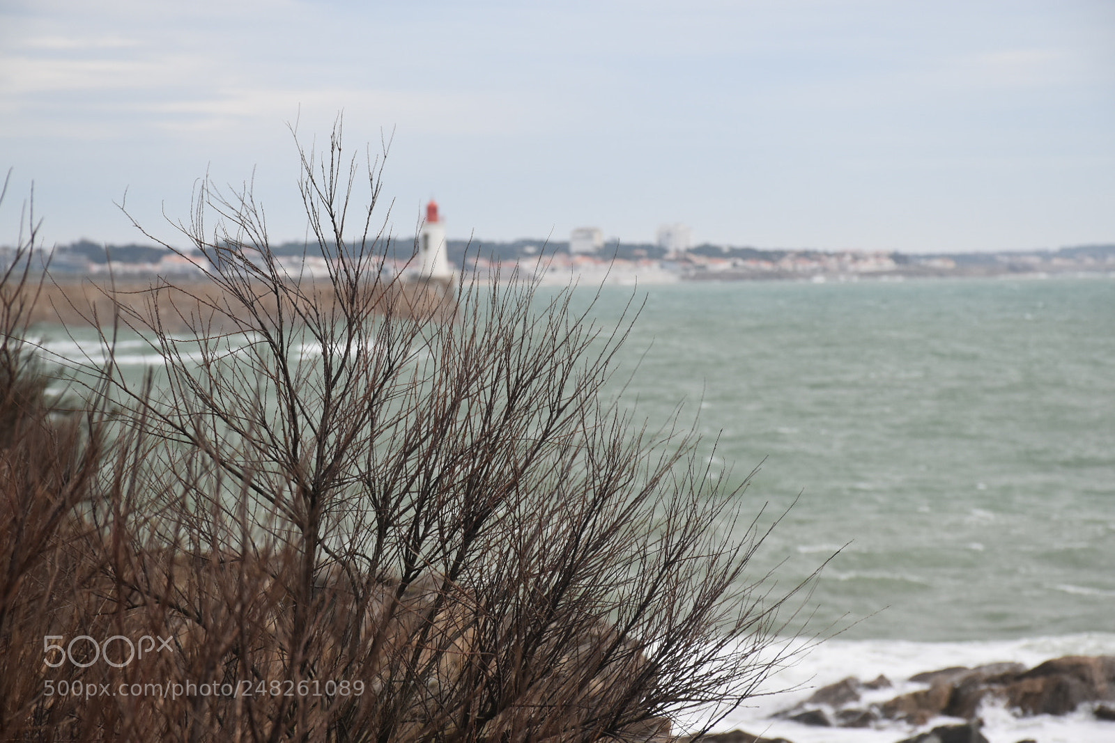 Nikon D5600 sample photo. Untitled photography