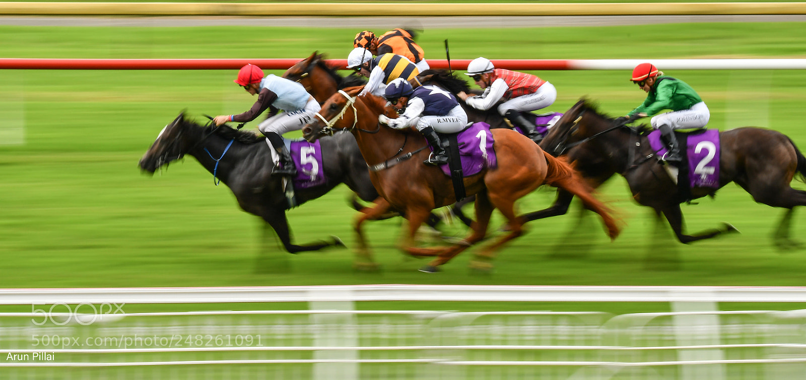 Nikon D500 sample photo. The race photography