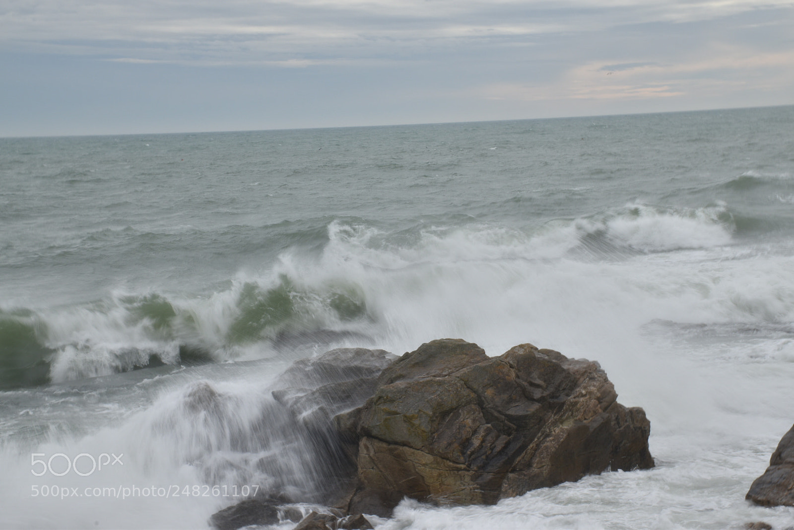 Nikon D5600 sample photo. Untitled photography