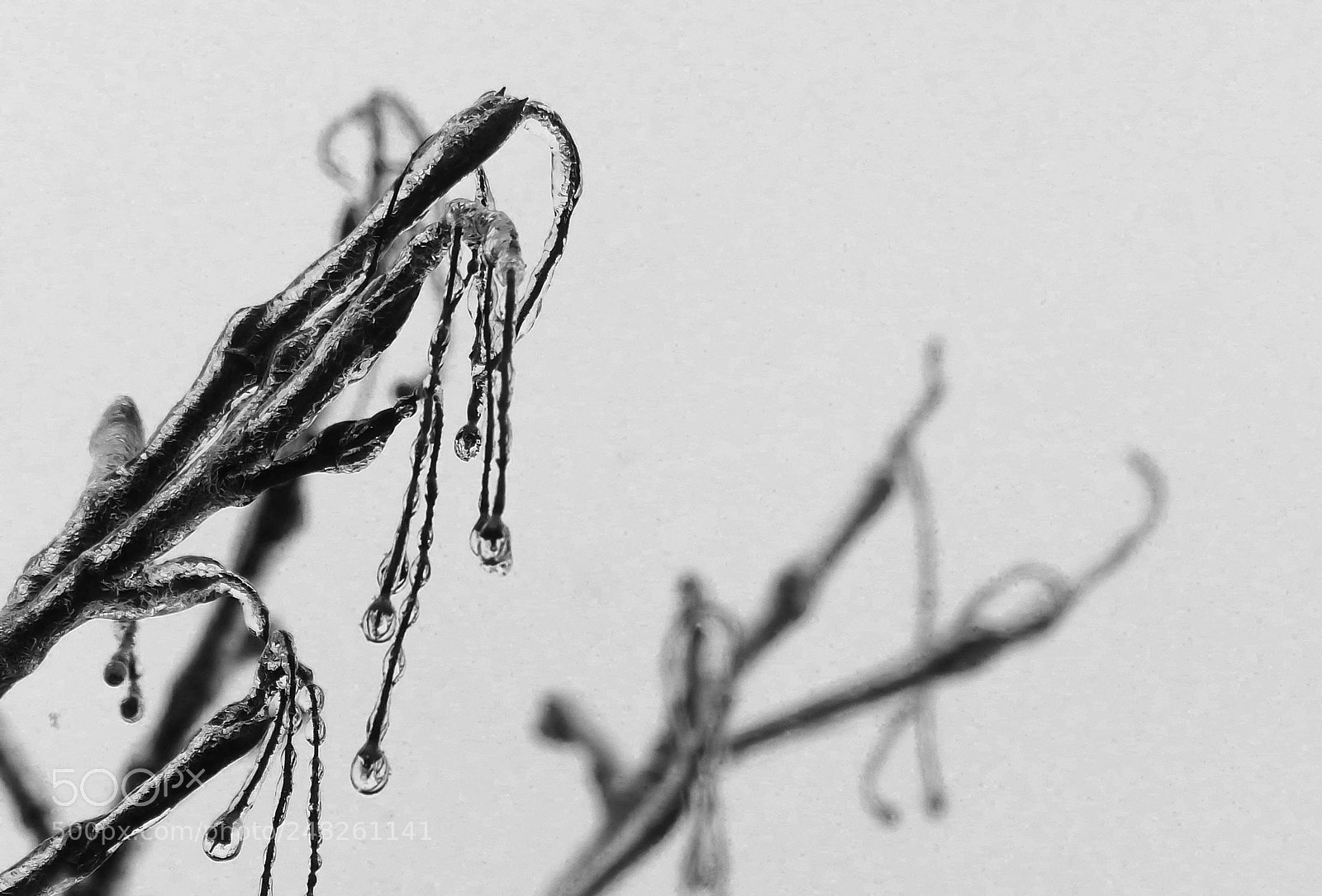 Panasonic Lumix DMC-FZ200 sample photo. Icy drops photography