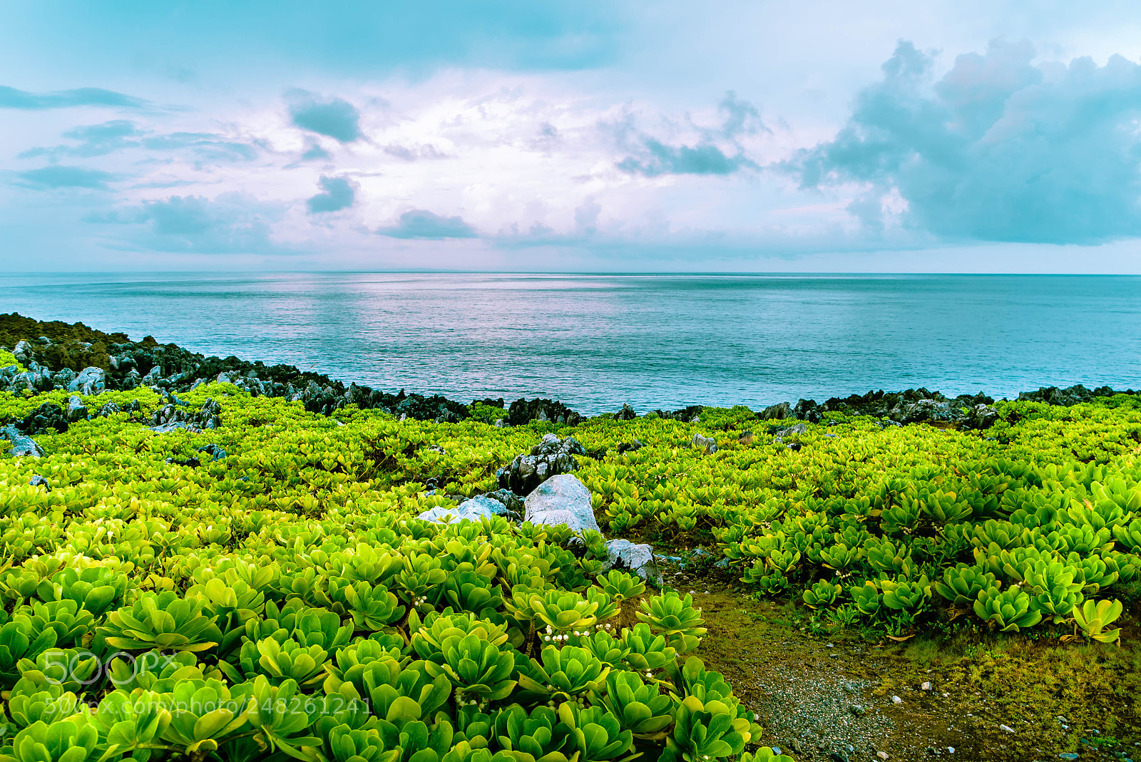 Sony a7S sample photo. Hentomisaki photography