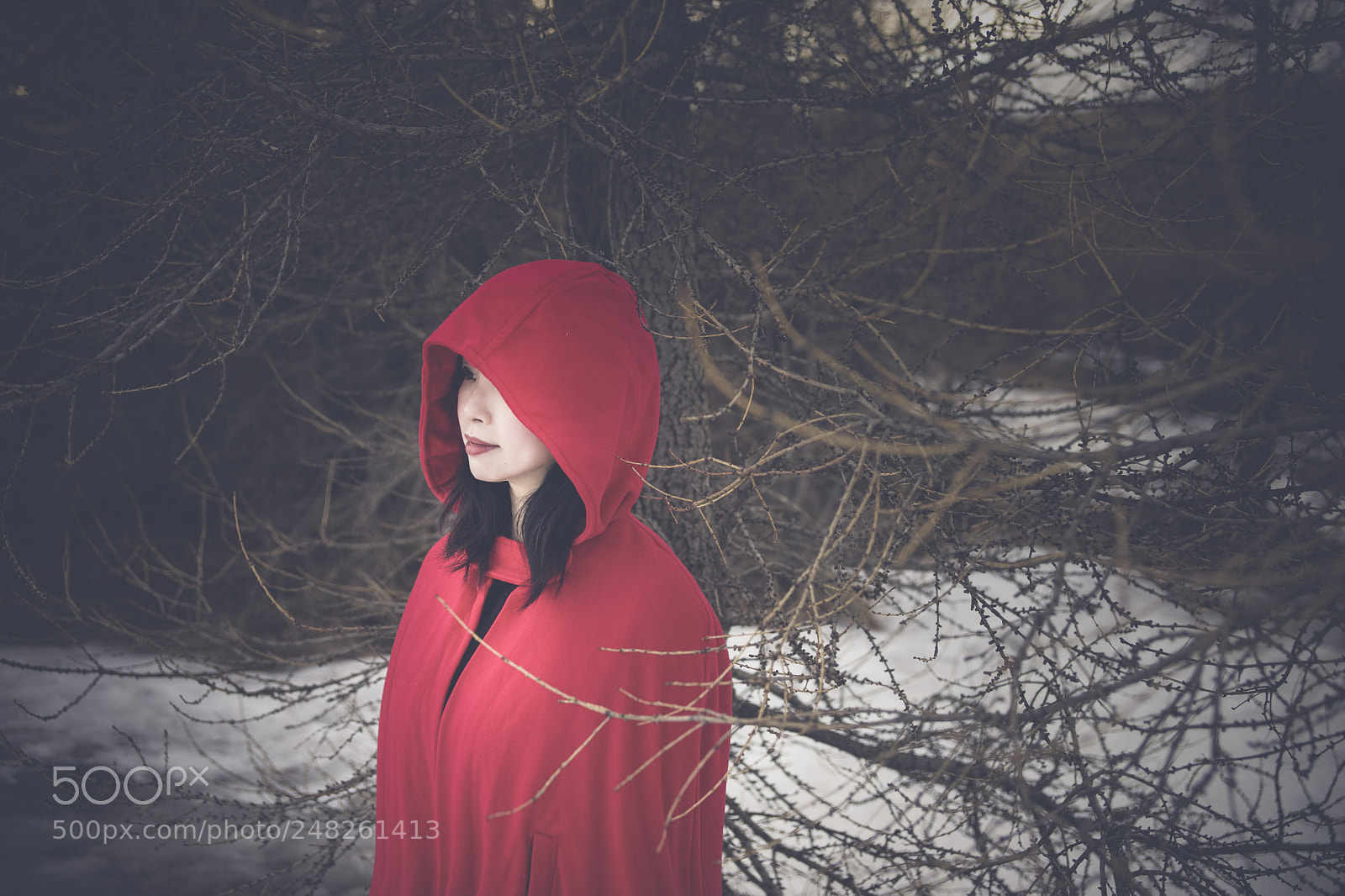 Sony SLT-A99V sample photo. Red riding hood i photography