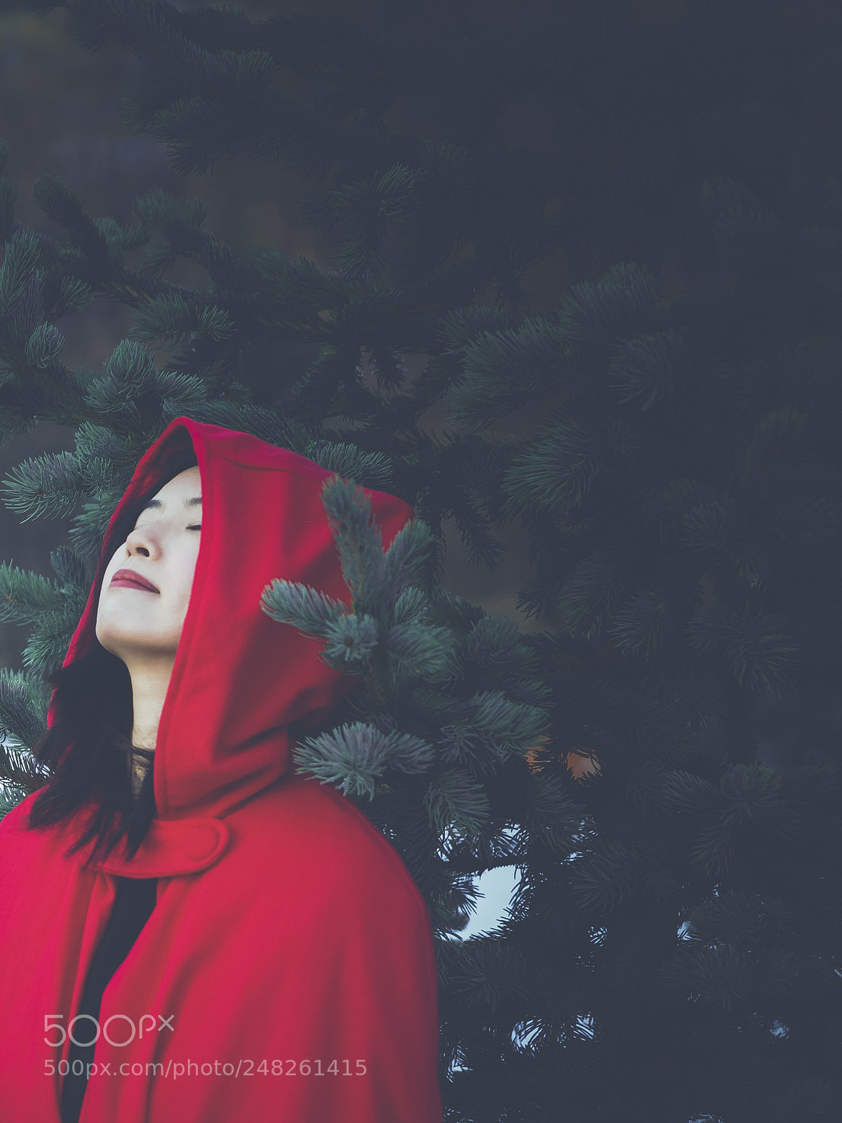 Sony SLT-A99V sample photo. Red riding hood ii photography