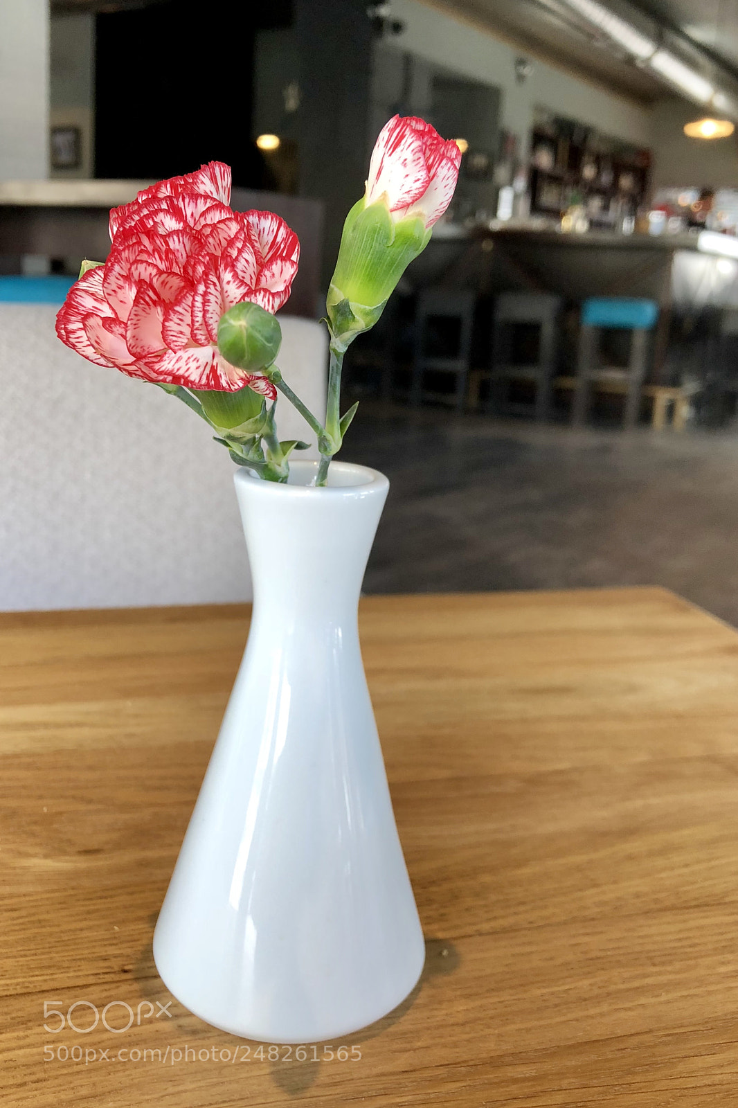 Apple iPhone X sample photo. ... photography