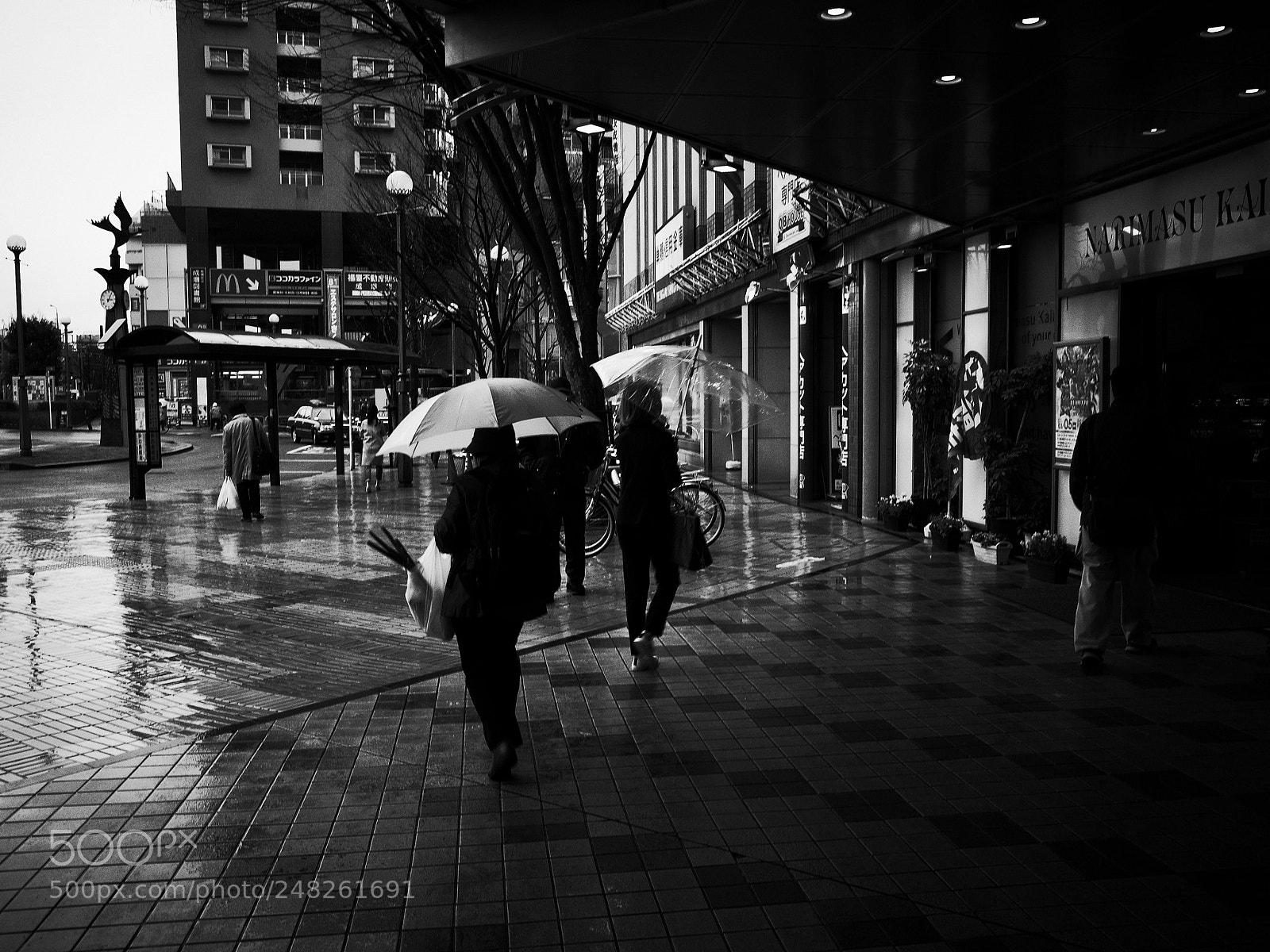 Ricoh GR II sample photo. A day with rain photography