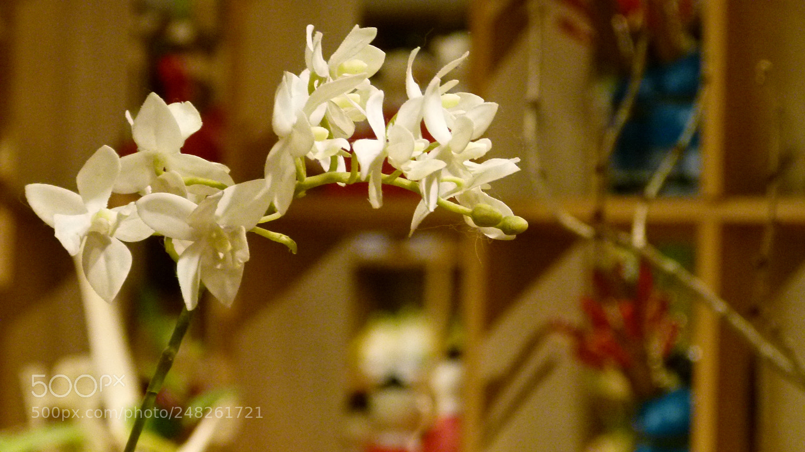 Leica V-Lux 2 sample photo. Untitled photography
