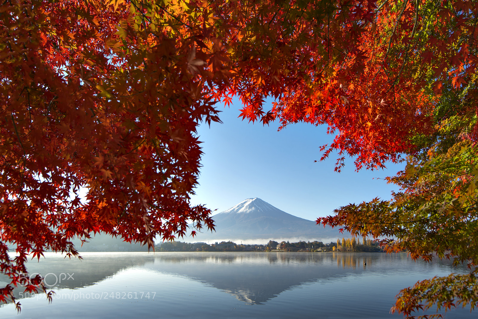 Nikon D610 sample photo. Mount fuji reflection with photography