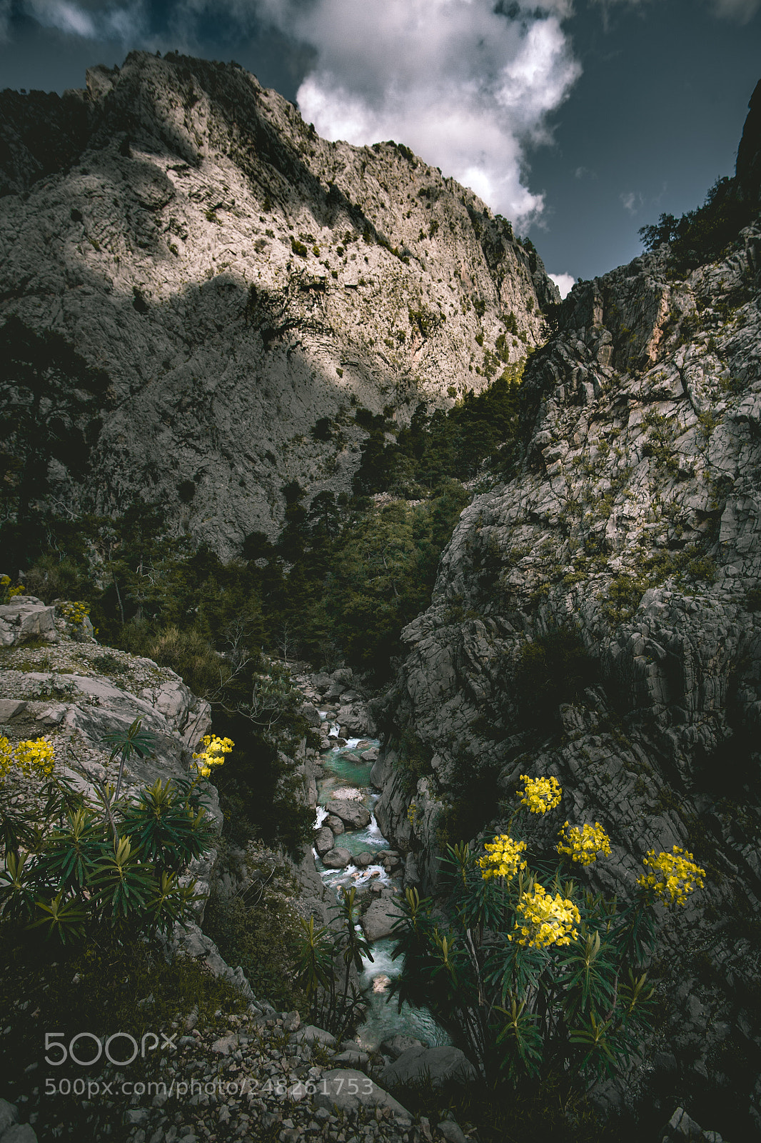 Canon EOS 5D sample photo. Rocky mountains photography
