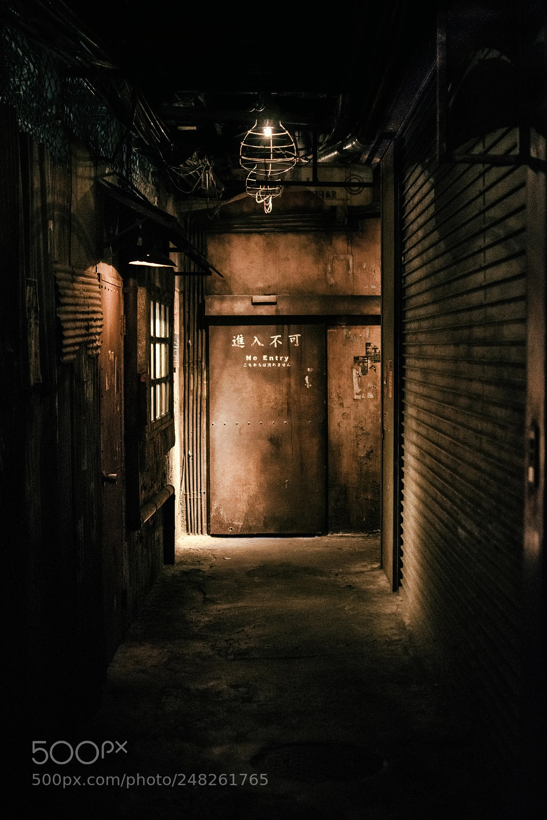 Nikon D5300 sample photo. No entry. photography
