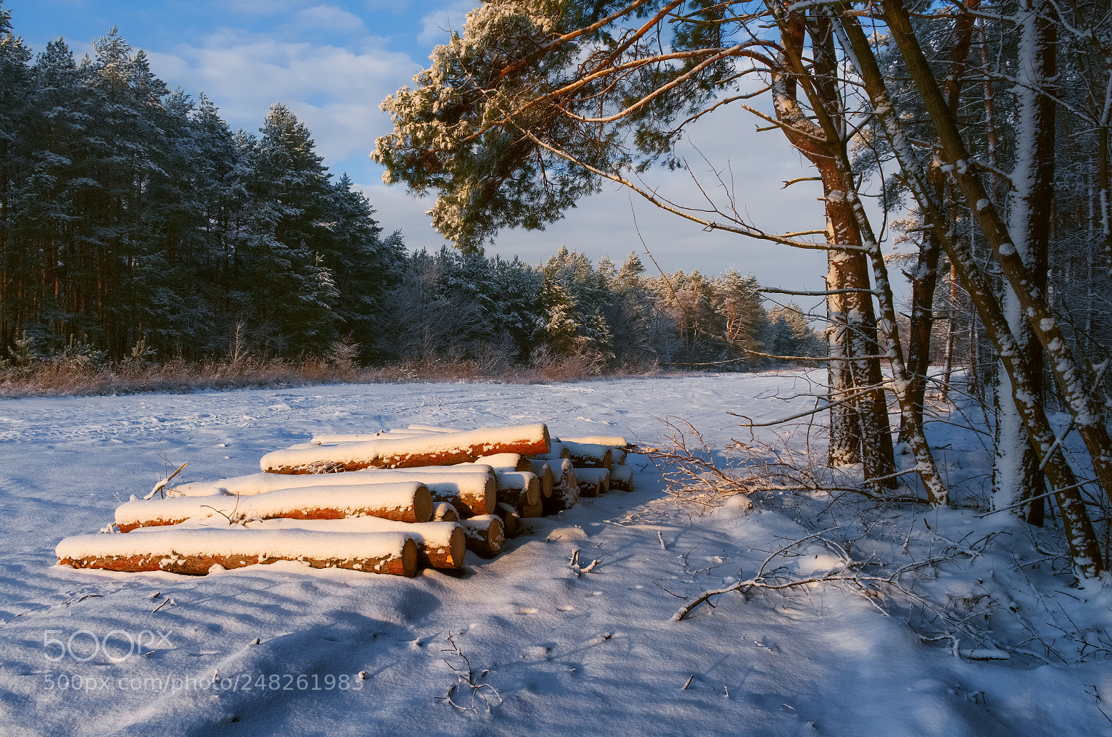Fujifilm X-E1 sample photo. Winter morning photography