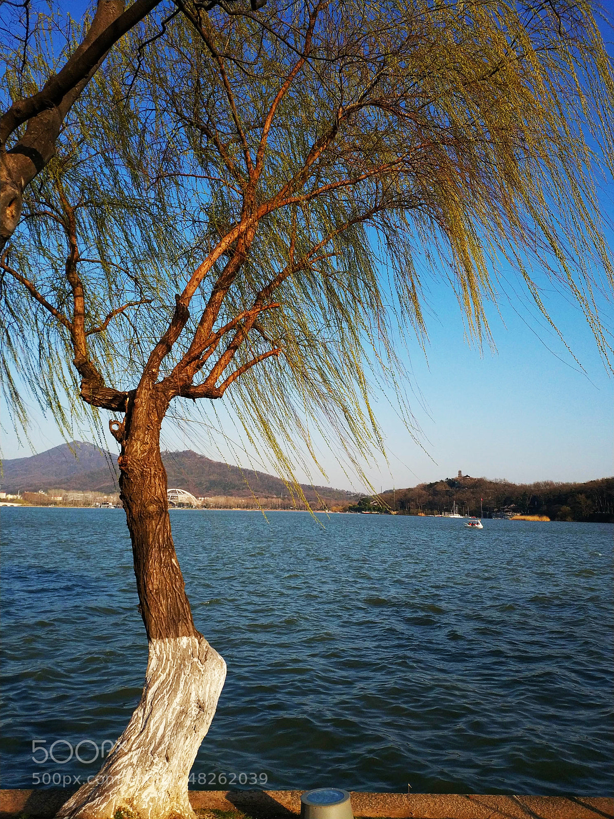 Xiaomi MIX 2 sample photo. Tree at lakeside photography