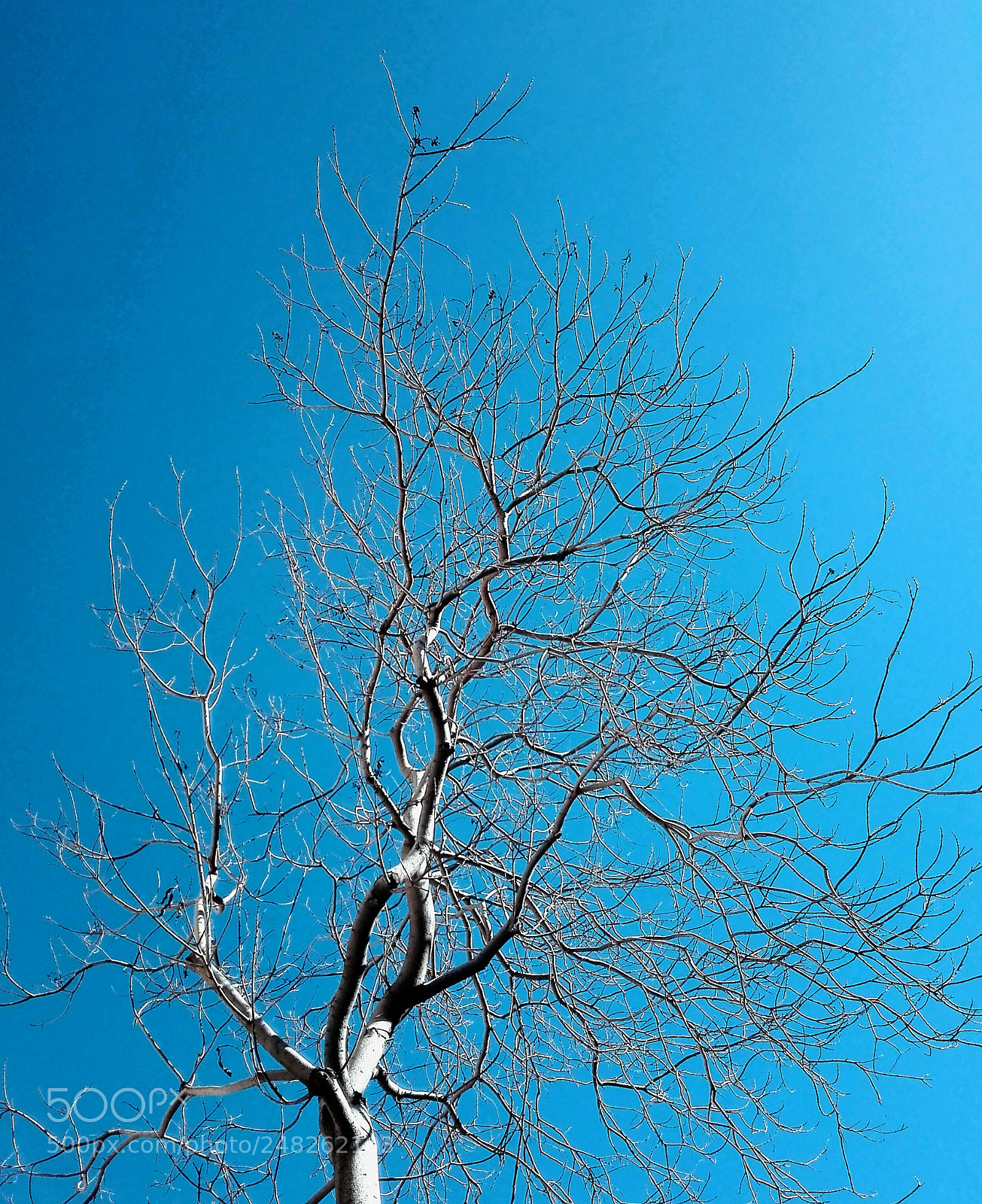 HUAWEI P8 Lite sample photo. Waiting photography
