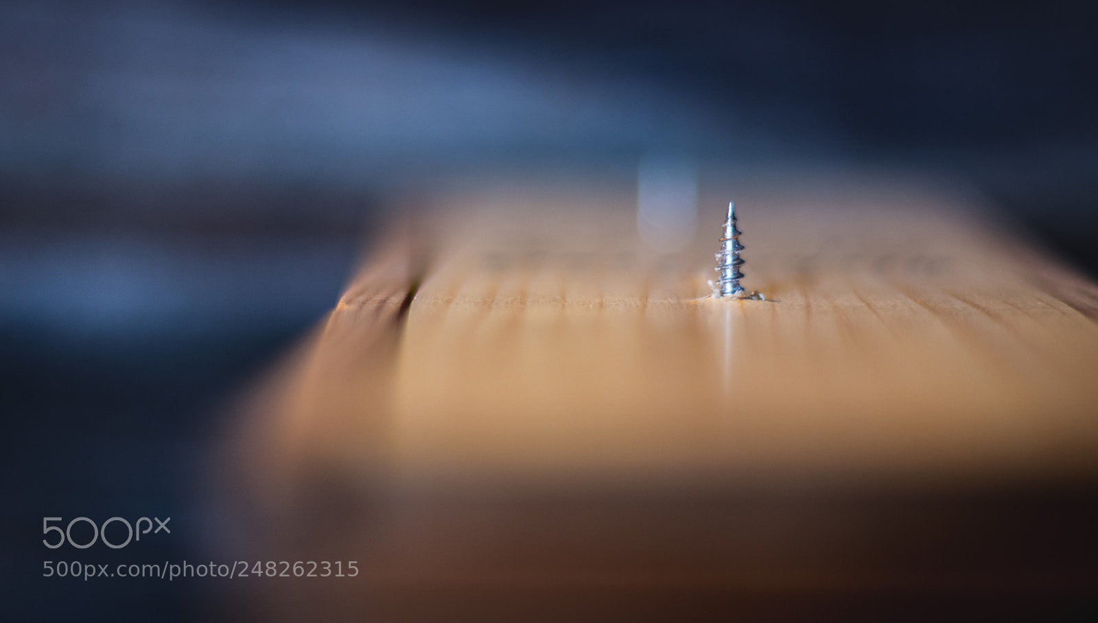 Nikon D7200 sample photo. The screw photography