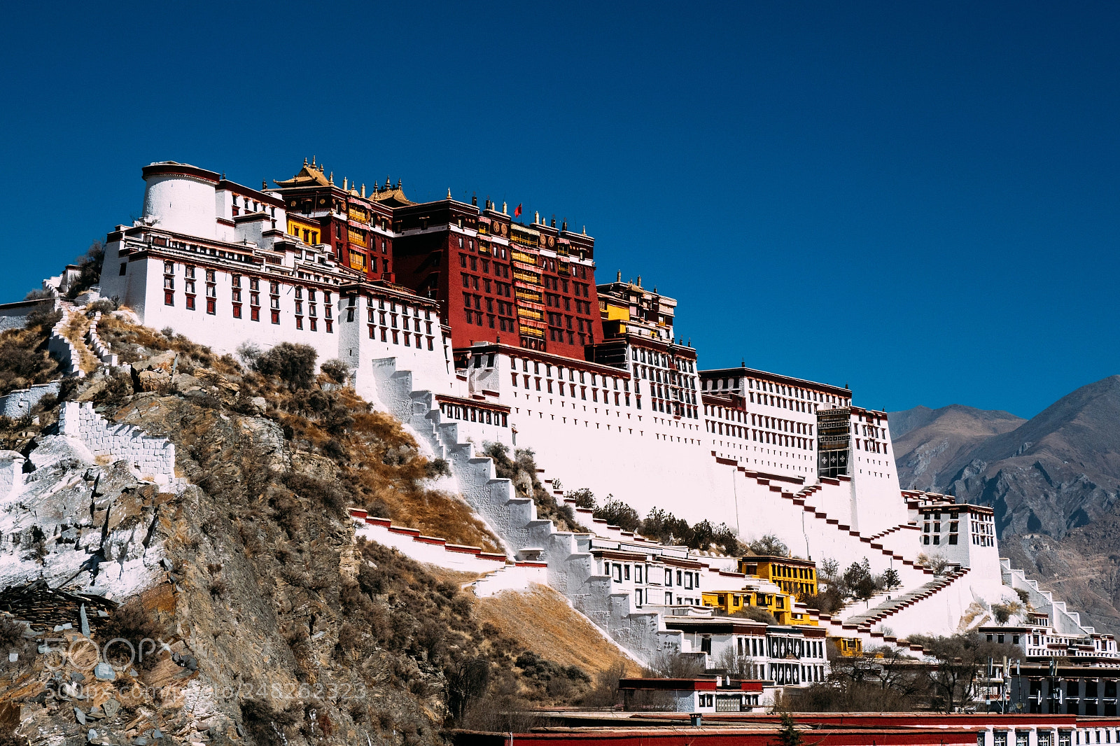 Olympus OM-D E-M1 Mark II sample photo. Potala palance photography