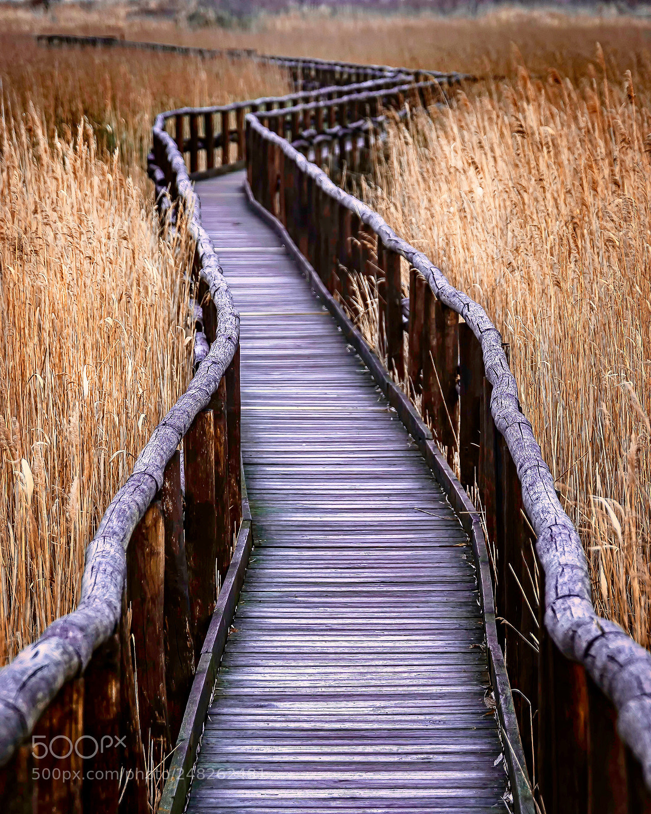 Nikon D7200 sample photo. Pier... photography