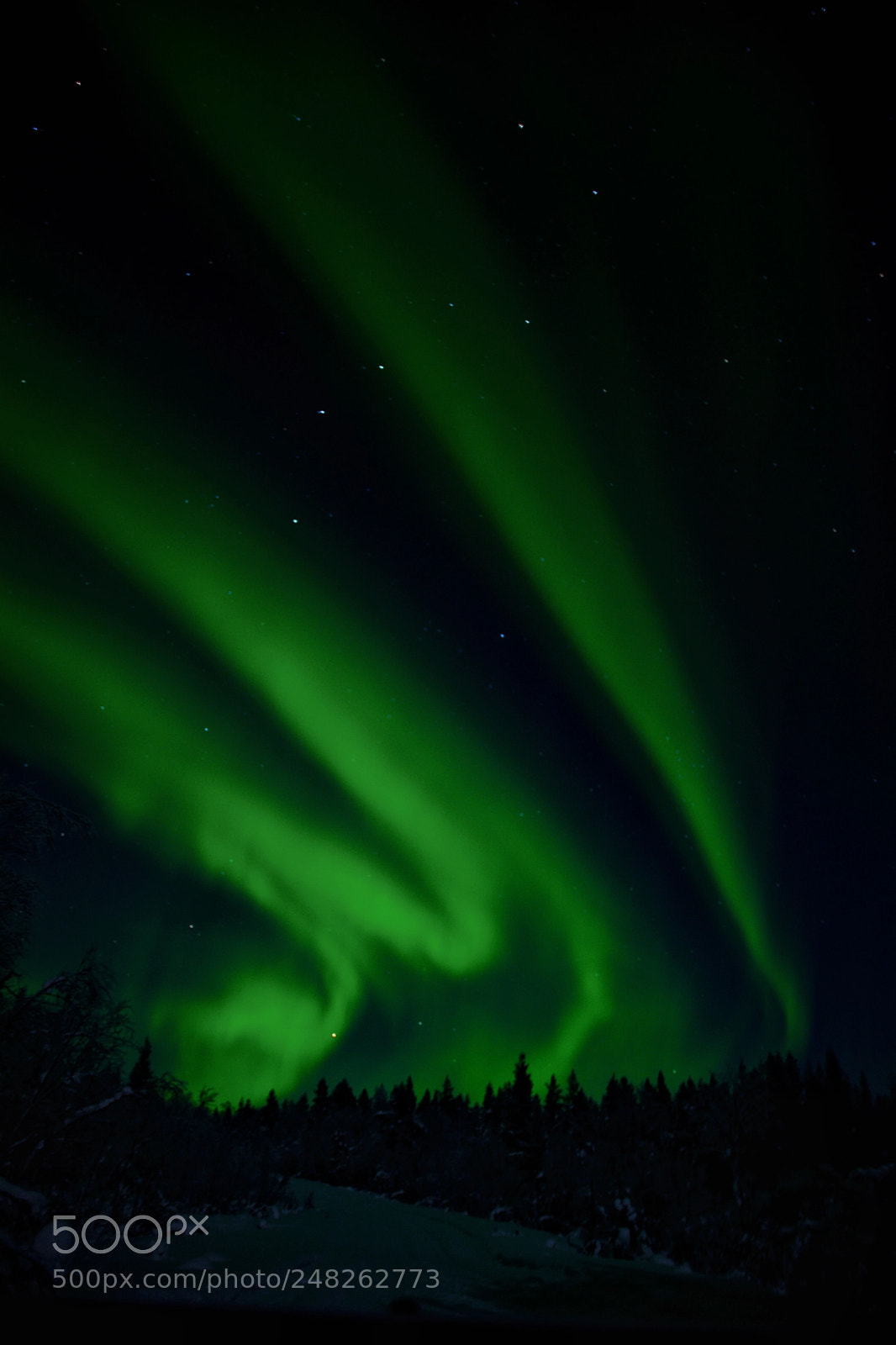 Nikon D5200 sample photo. Aurora dance ii photography