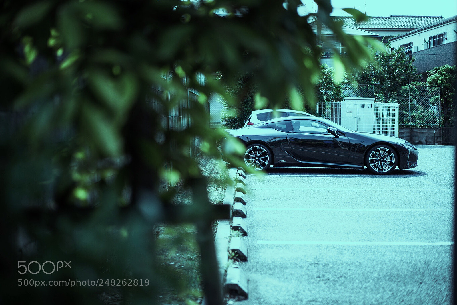 Leica M (Typ 240) sample photo. Untitled photography