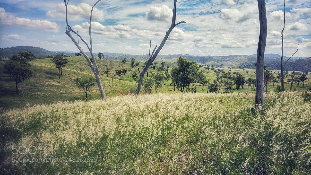 Google Pixel XL sample photo. Gayndah highlands photography
