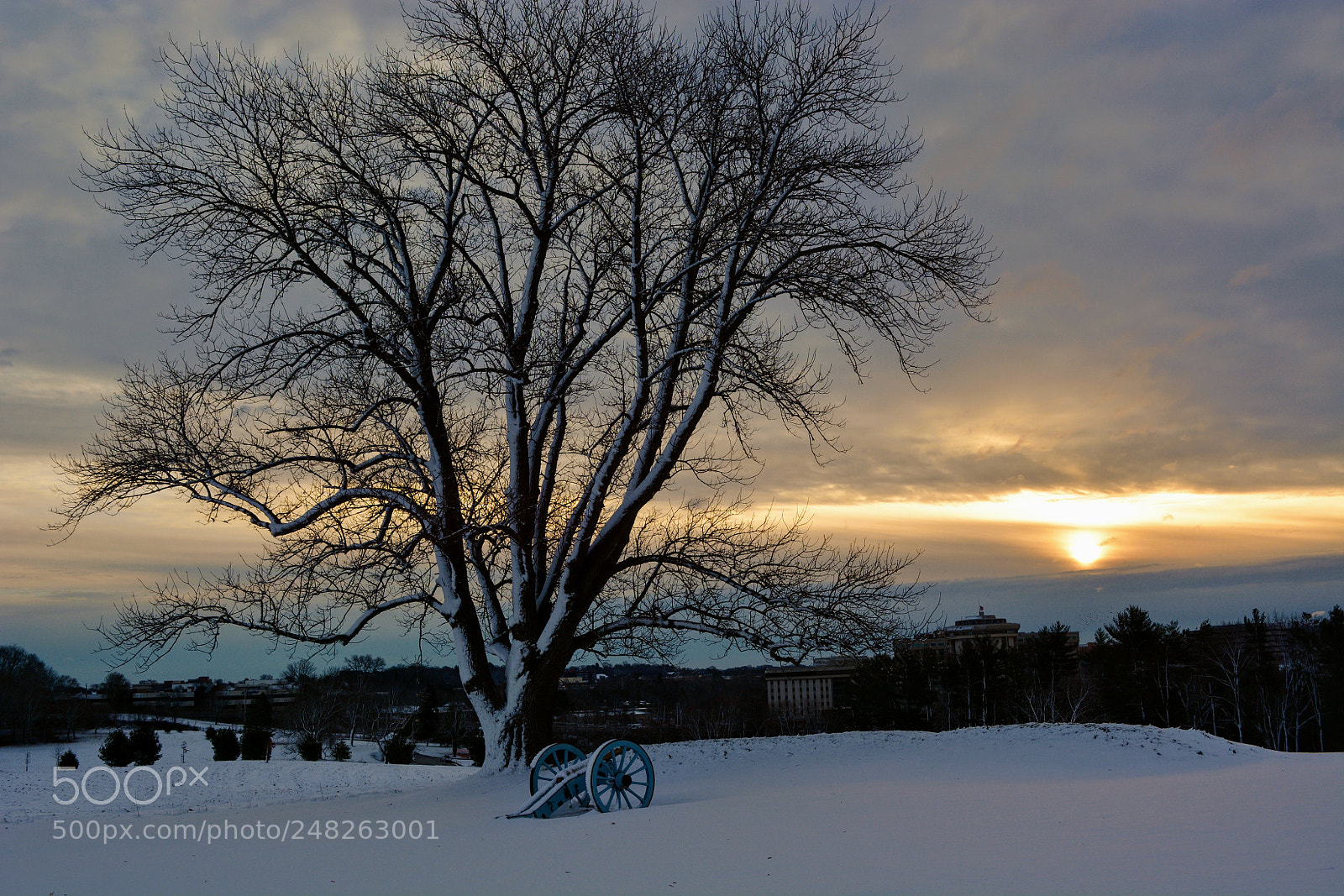 Nikon D7100 sample photo. Untitled photography