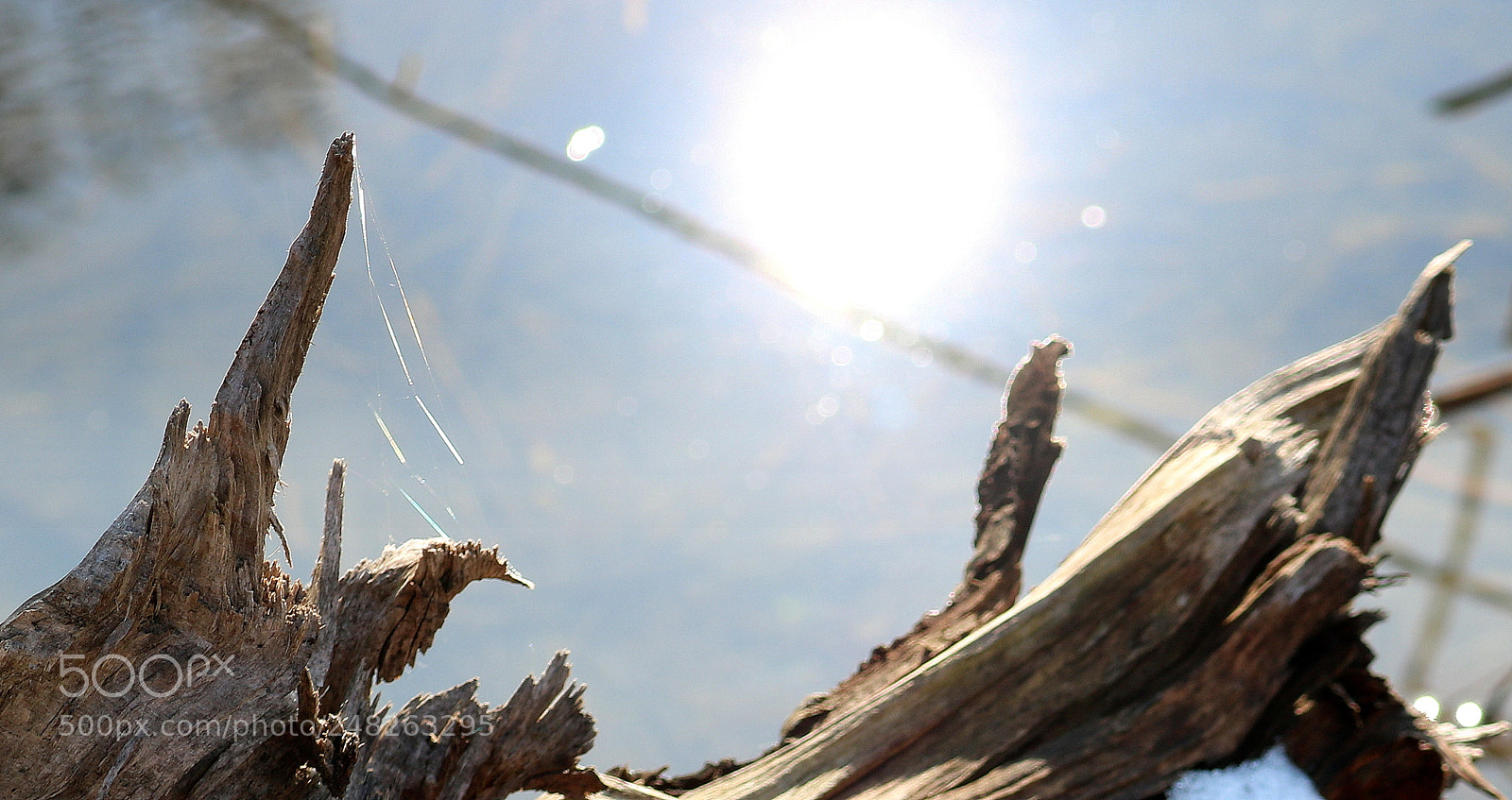 Canon EOS 750D (EOS Rebel T6i / EOS Kiss X8i) sample photo. "slackliner sonne" photography
