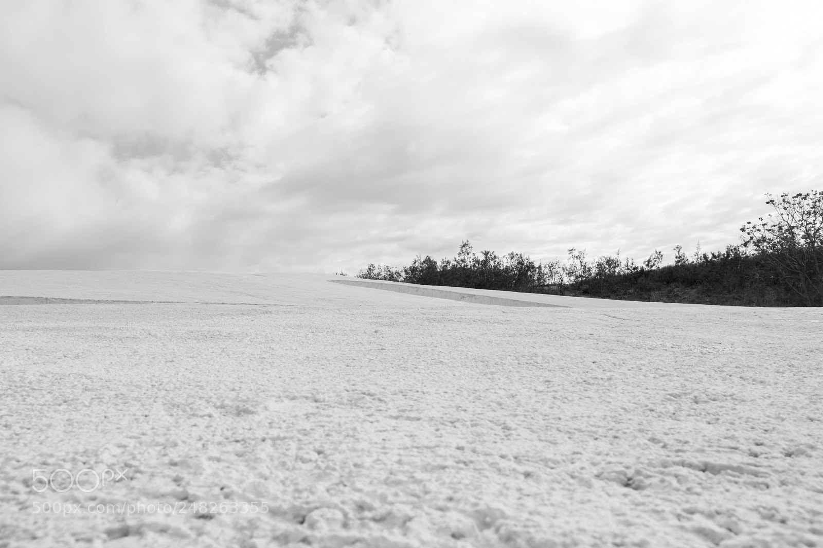 Fujifilm X-T20 sample photo. 24964447177.jpg photography