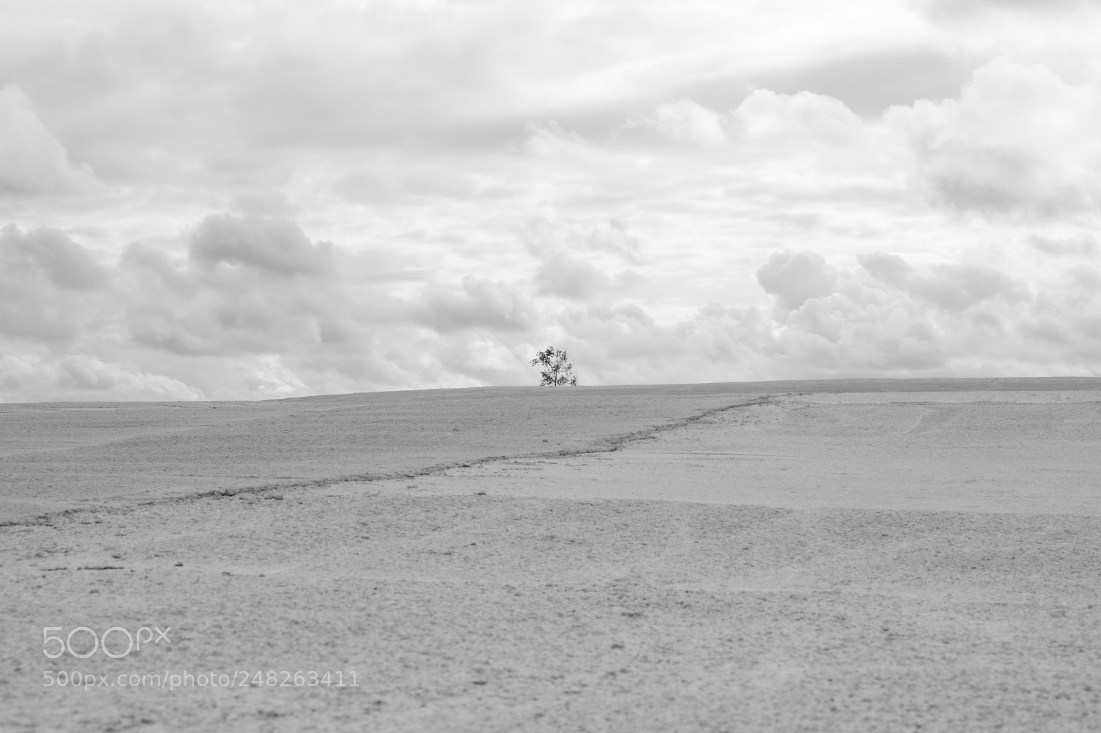 Fujifilm X-T20 sample photo. 24964445687.jpg photography