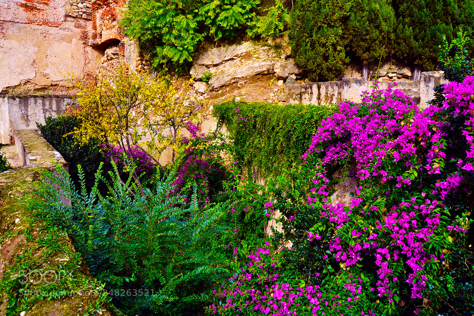 Nikon D3100 sample photo. Colores de primavera photography
