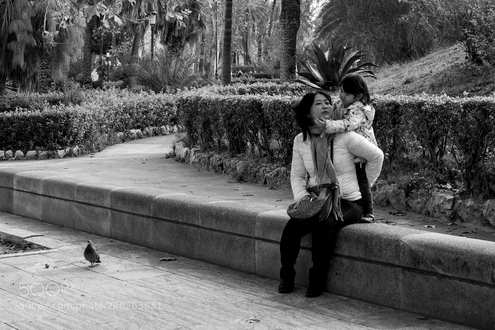 Fujifilm X-T20 sample photo. 24603982167.jpg photography