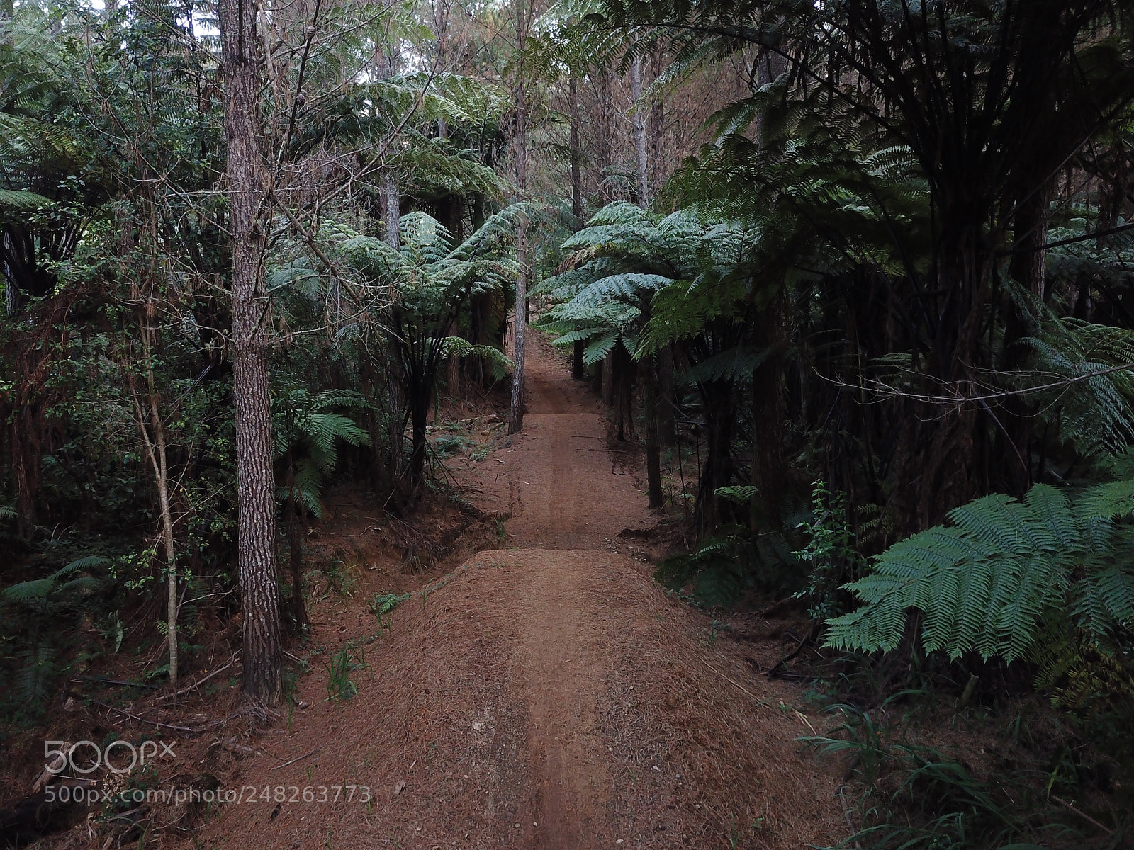 DJI FC220 sample photo. Mtb tracks in new photography