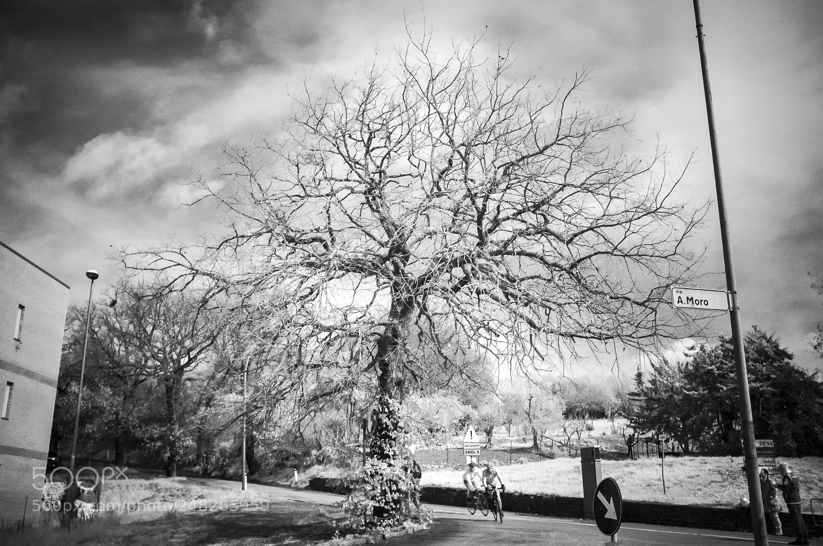 Fujifilm FinePix X100 sample photo. Dsf photography