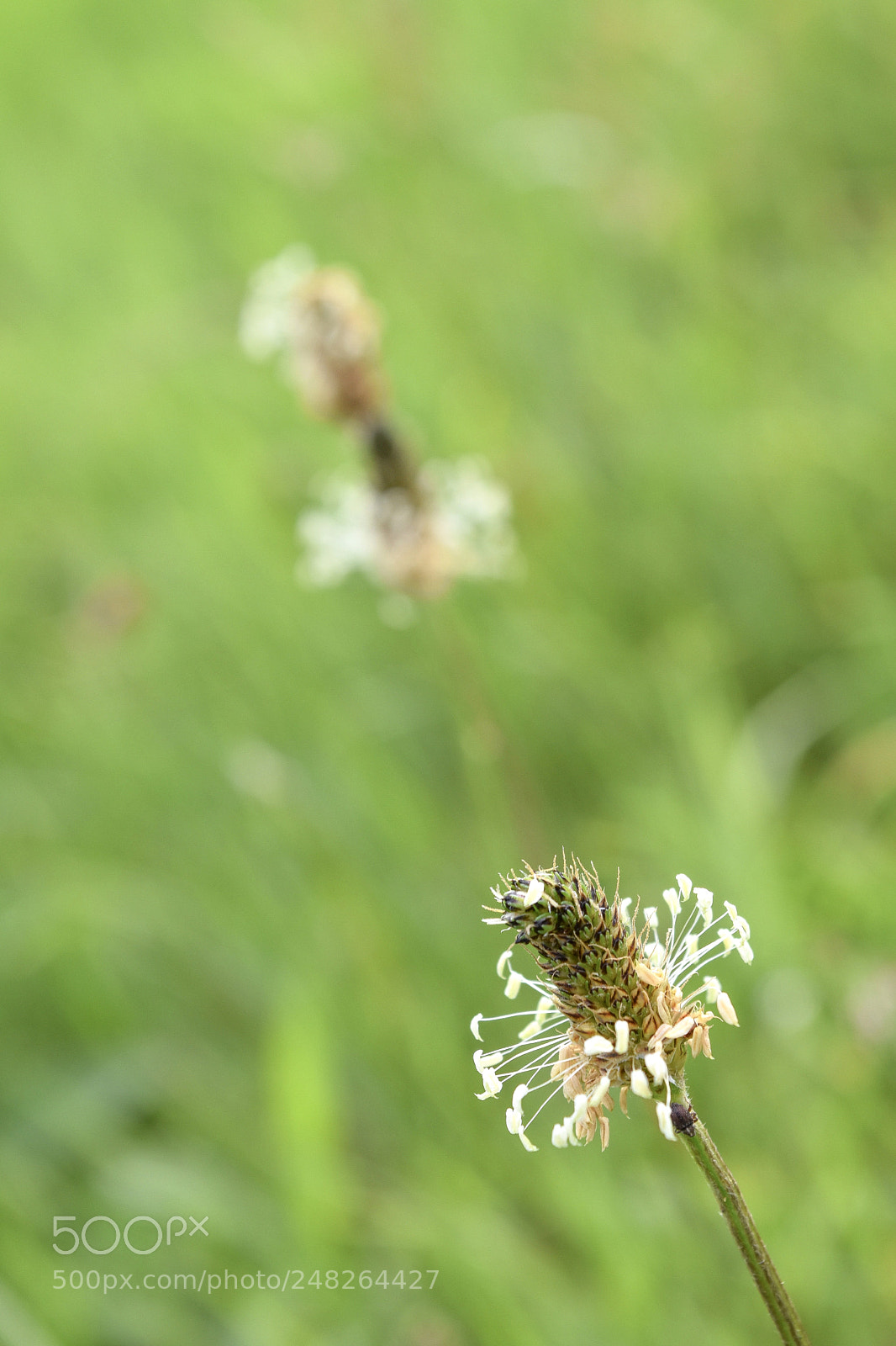 Nikon D5500 sample photo. Untitled photography