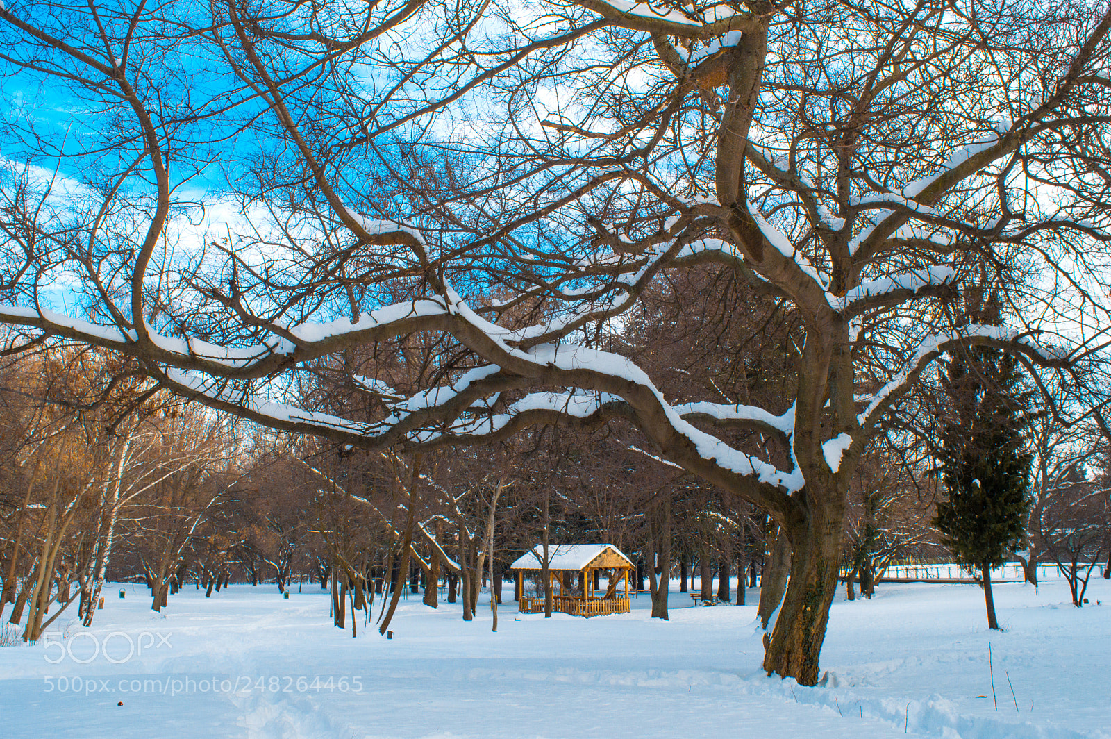 Nikon D3200 sample photo. Winter fairy tale photography