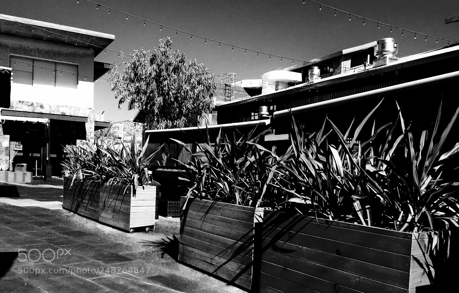 Apple iPhone 6 sample photo. Sunday afternoon!!! #blackandwhite #happysunday photography