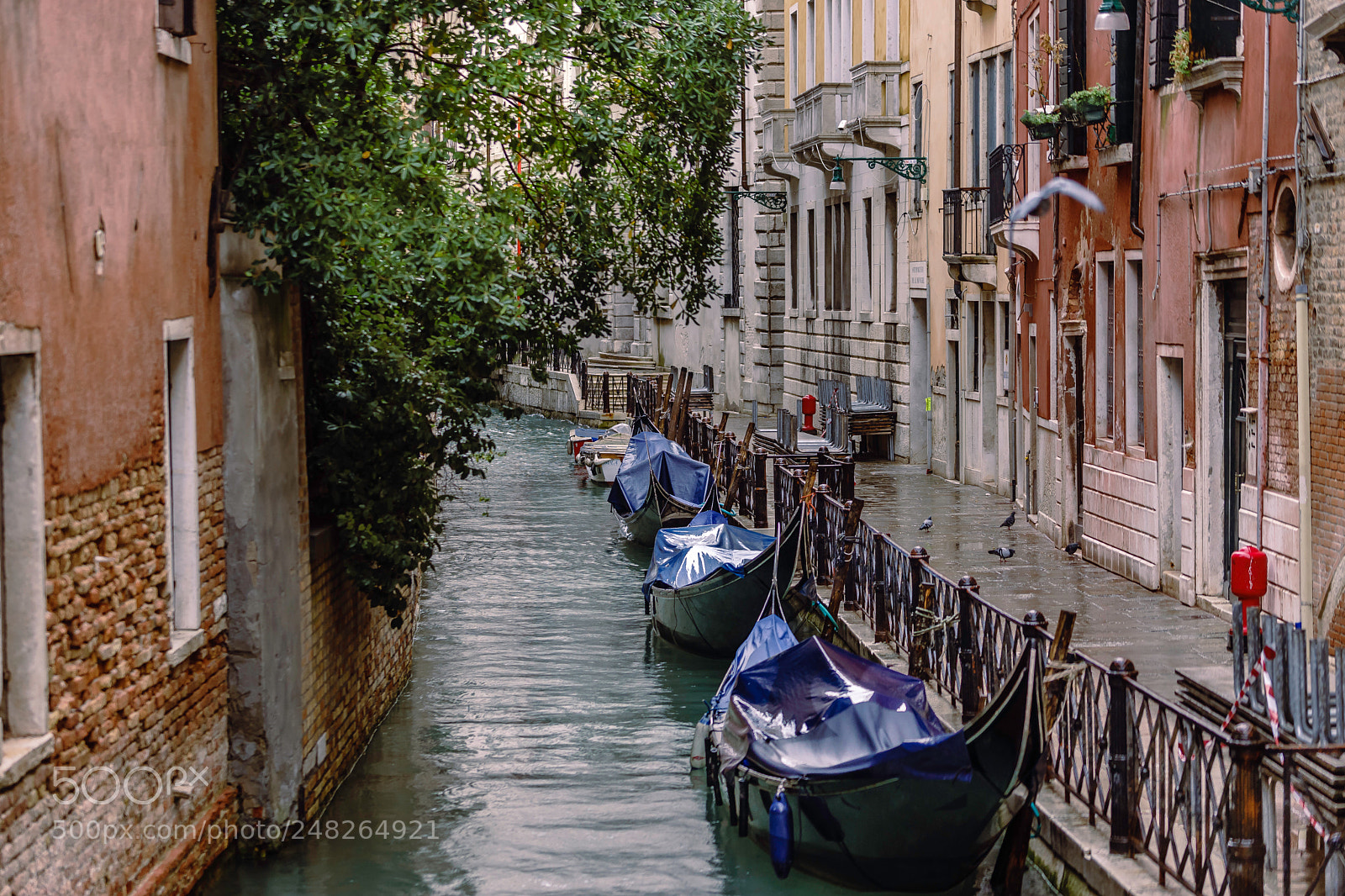 Sony a7 II sample photo. Gondolisima photography
