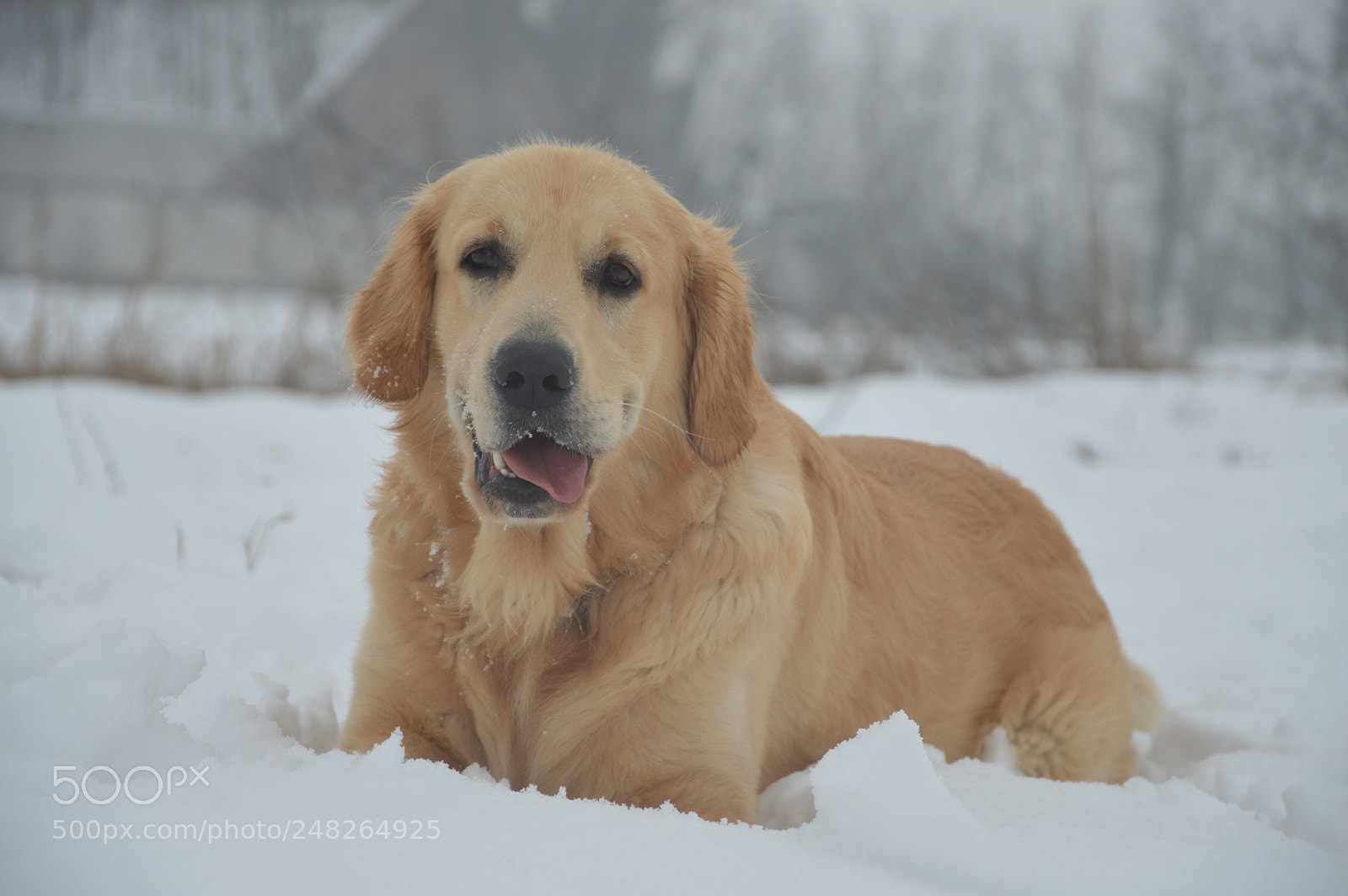 Nikon D3200 sample photo. Paco photography