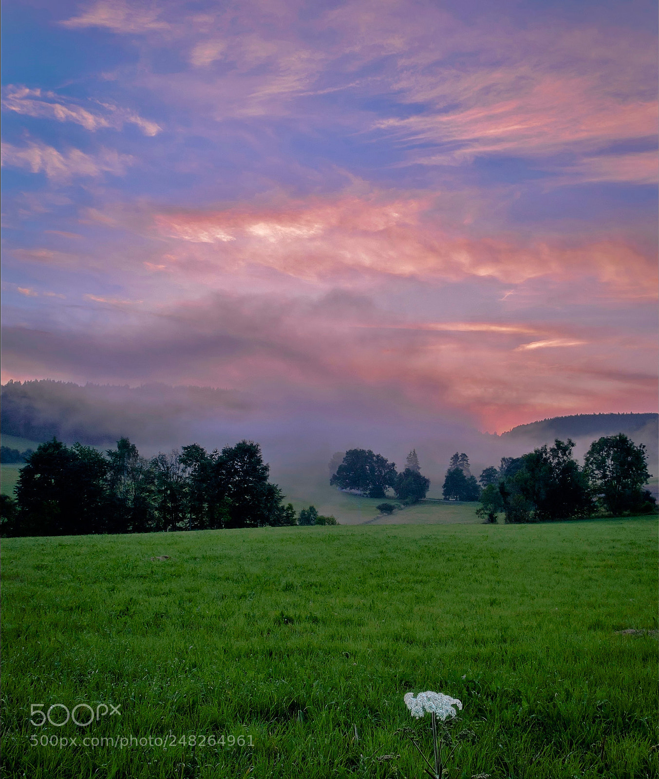 Fujifilm X-T1 sample photo. Evening mist ii photography