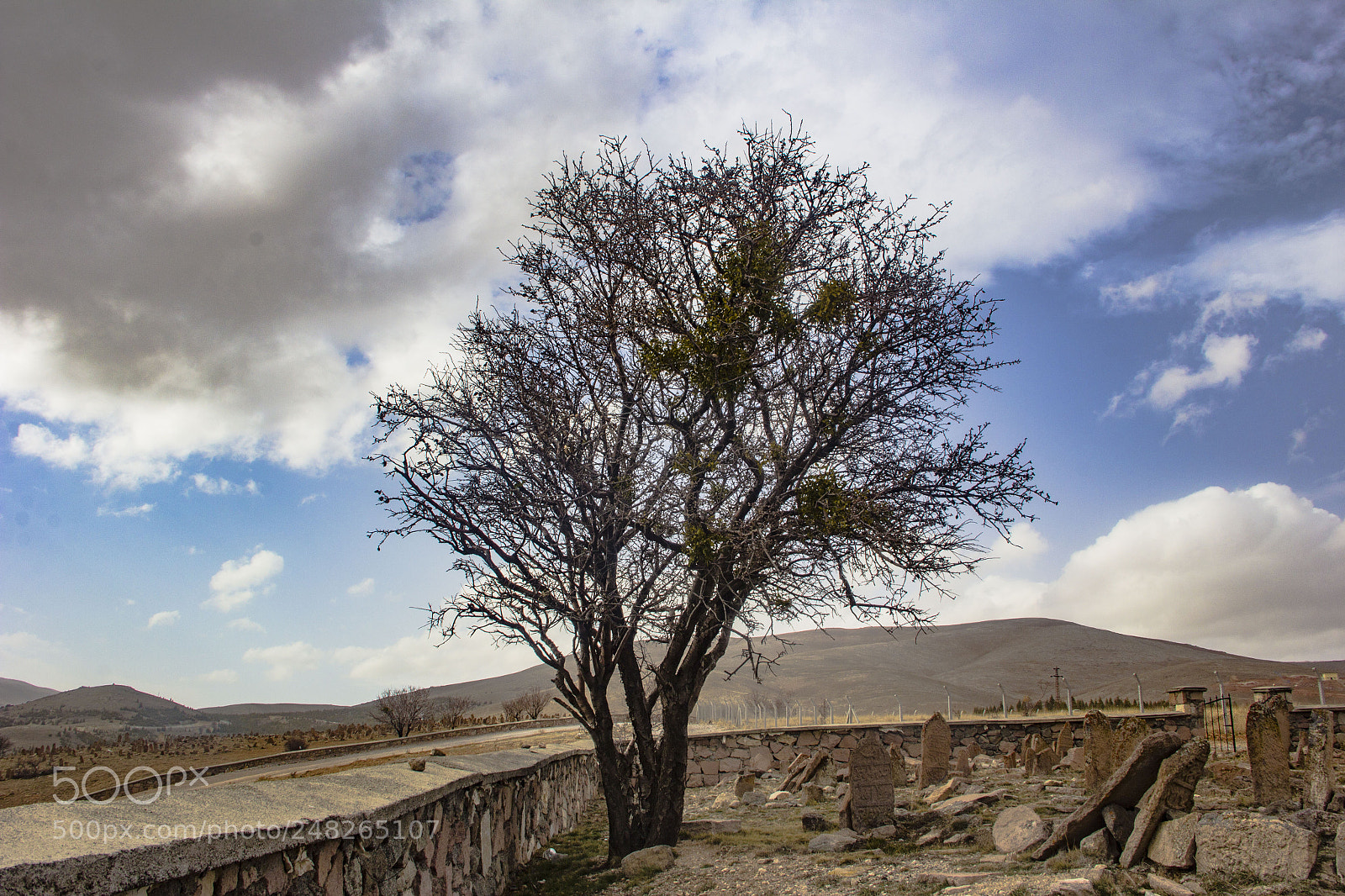Canon EOS 60D sample photo. Yalınız photography