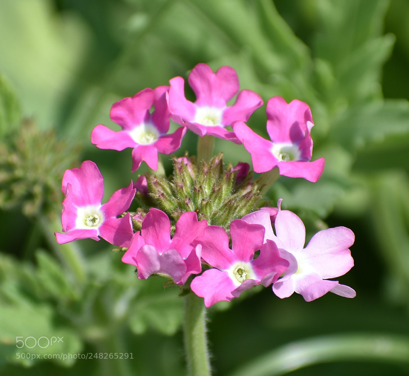 Nikon D3400 sample photo. Untitled photography