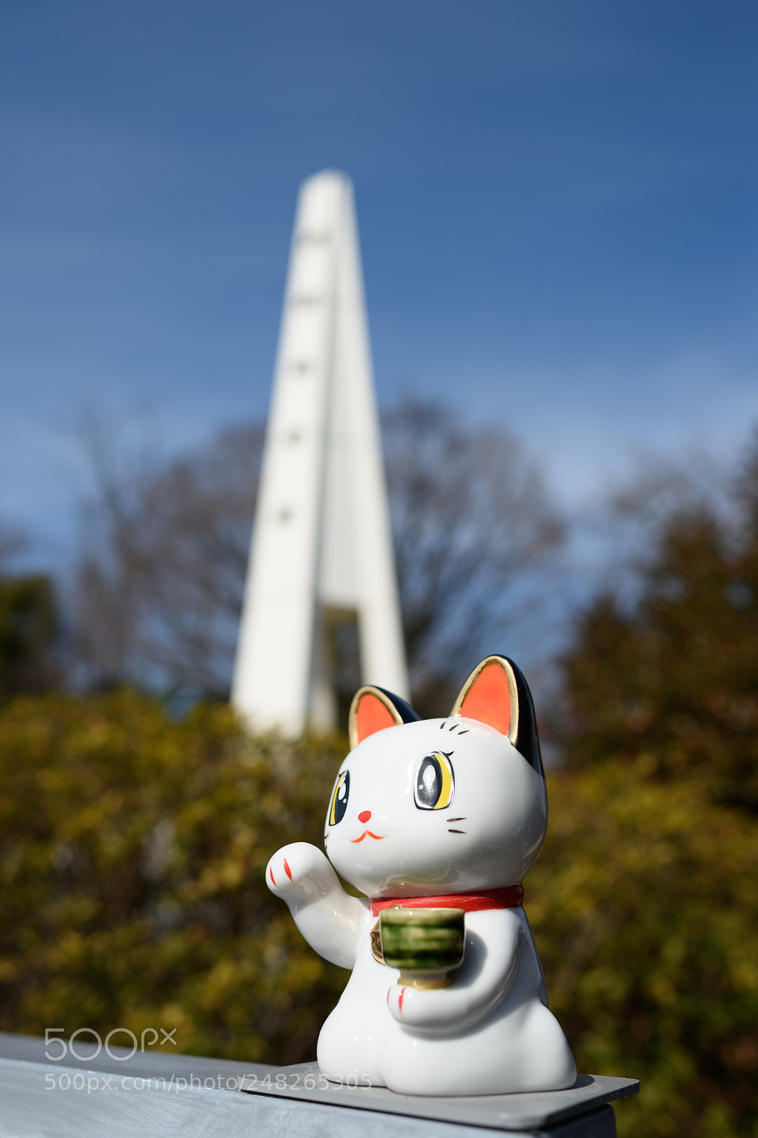 Nikon Df sample photo. China cat photography