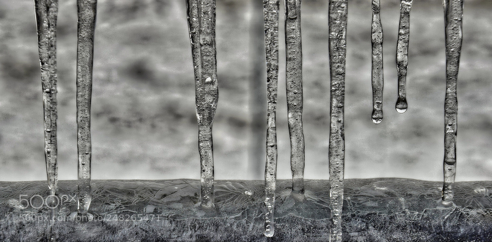 Nikon D5300 sample photo. Frozen fence photography