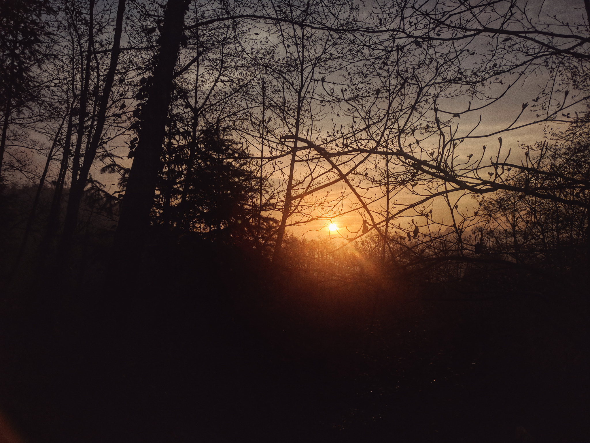 OnePlus A3010 sample photo. Sunset photography