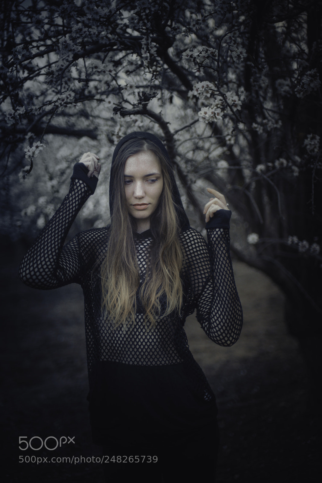 Nikon D610 sample photo. Edit photography