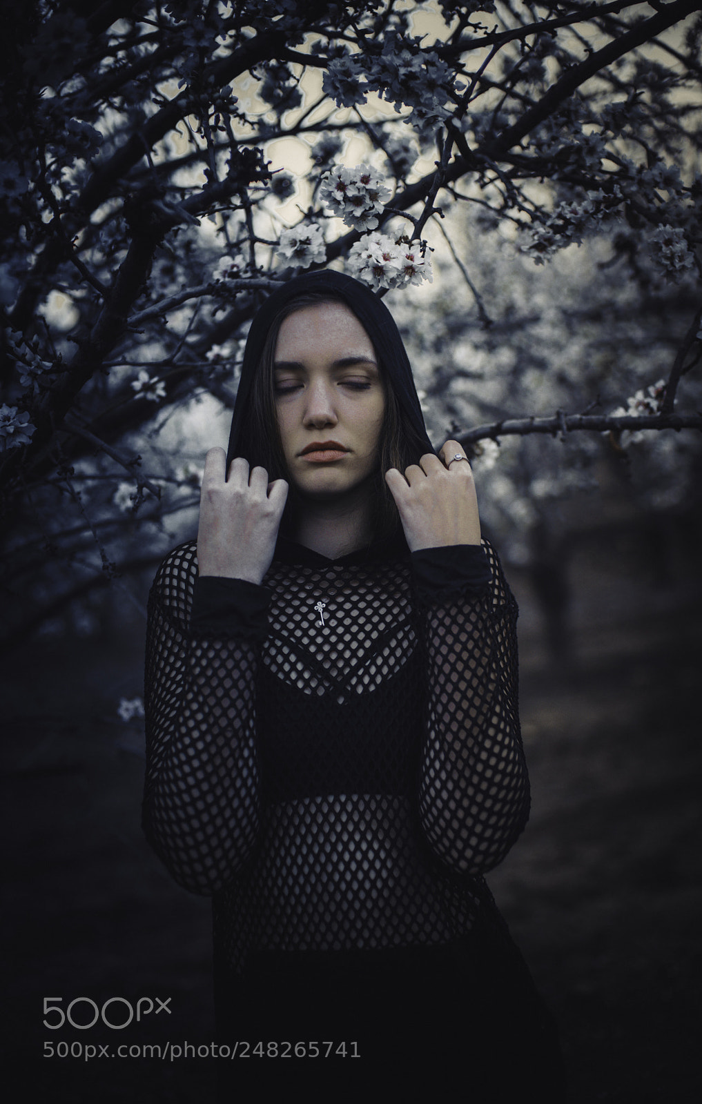 Nikon D610 sample photo. Edit photography